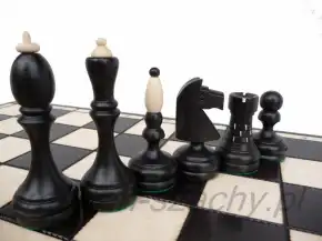 Black and light tournament pieces